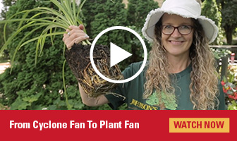 From Cyclone Fan to Plant Fan - Video