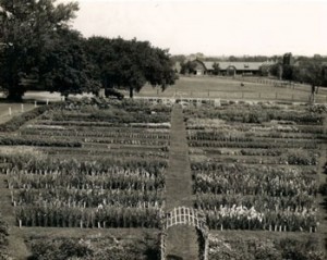 hortgarden