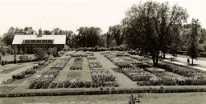 Trial Gardens 1949 (present site of Agronomy Building)